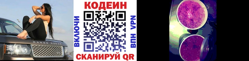 Кодеиновый сироп Lean Purple Drank  Заполярный 