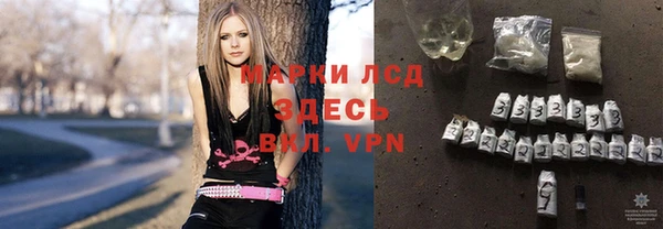 гидра Алексин