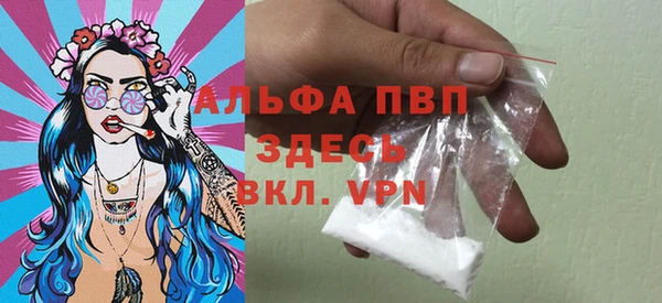 гидра Алексин