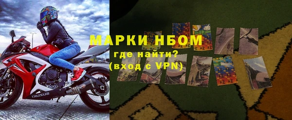 индика Алзамай