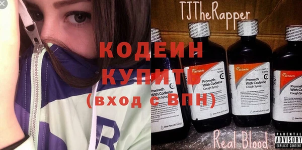 индика Алзамай