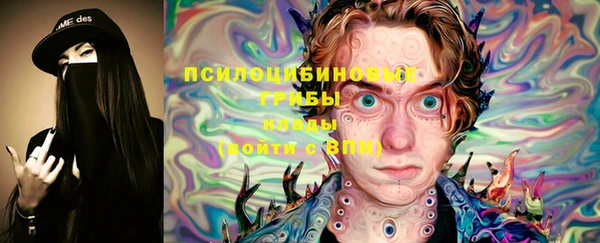 индика Алзамай
