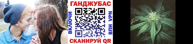 Бошки Шишки гибрид  Заполярный 